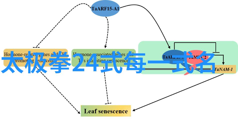 家族谱牒中的古韵流传探索那些好听又富有历史底蕴的名字