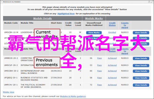 超凡修为这十部真正的高级 武学指南将带领你走向何方