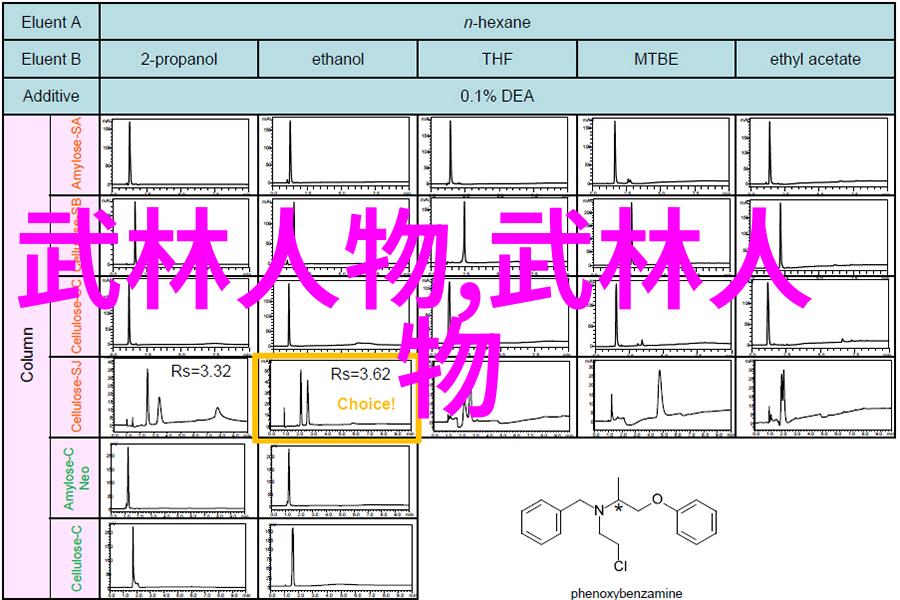 武林秘谱十六门派之谜