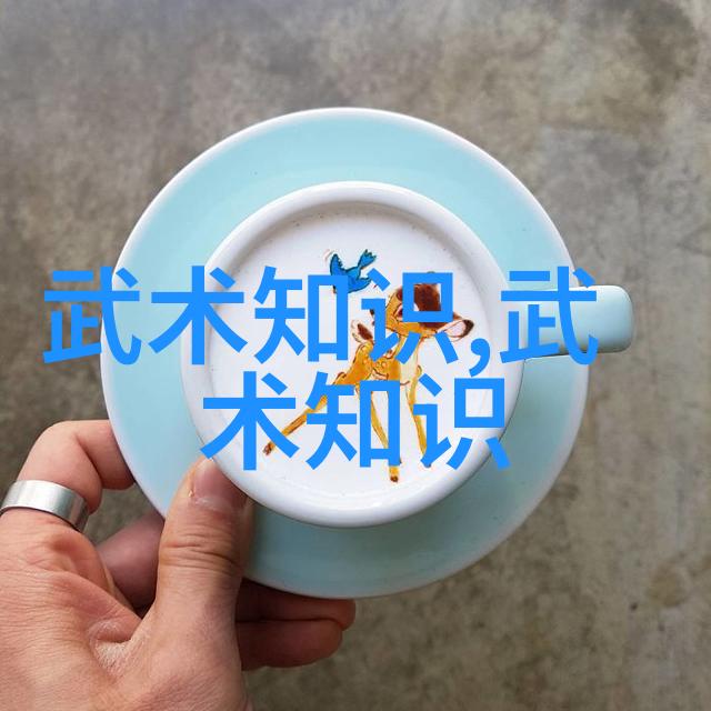 拳道秘籍清风肘击