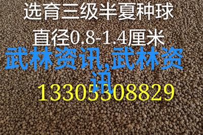 邱慧芳24式太极拳全套教学我来教你一套让人感觉既轻松又充实的太极拳吧