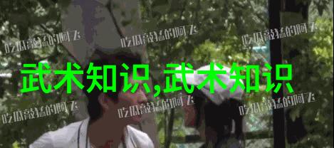 虎鹤门擒拿十八法融合24式太极拳口令全套轻松掌握武学精髓