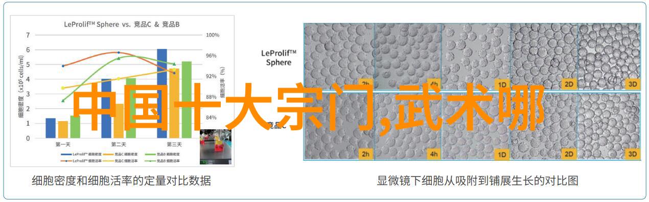 对于初学者来说太极练习应该从哪里开始