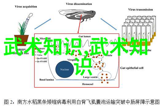 非你不可txt心灵独特的文字交流