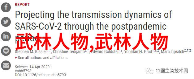 入门拳法基础训练打造坚实的防御体系