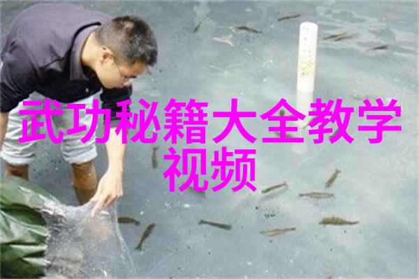 霸气十足的帮派名字暴风之翼