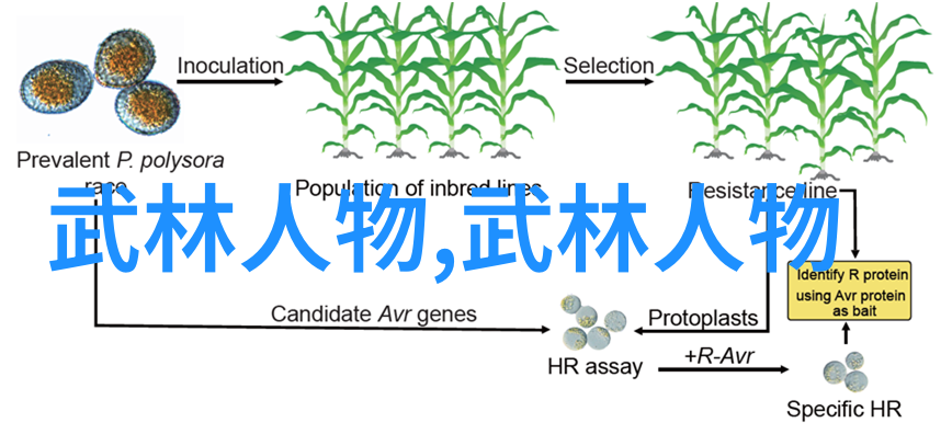 帮派风范搞笑逗比帮派名字大全