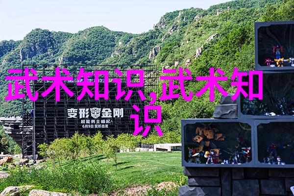 四十式太极拳视频带口令教你轻松学到精髓