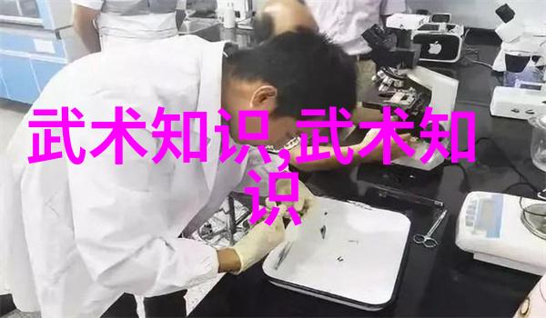 24式太极拳口诀解析揭秘内在力量与动作精髓