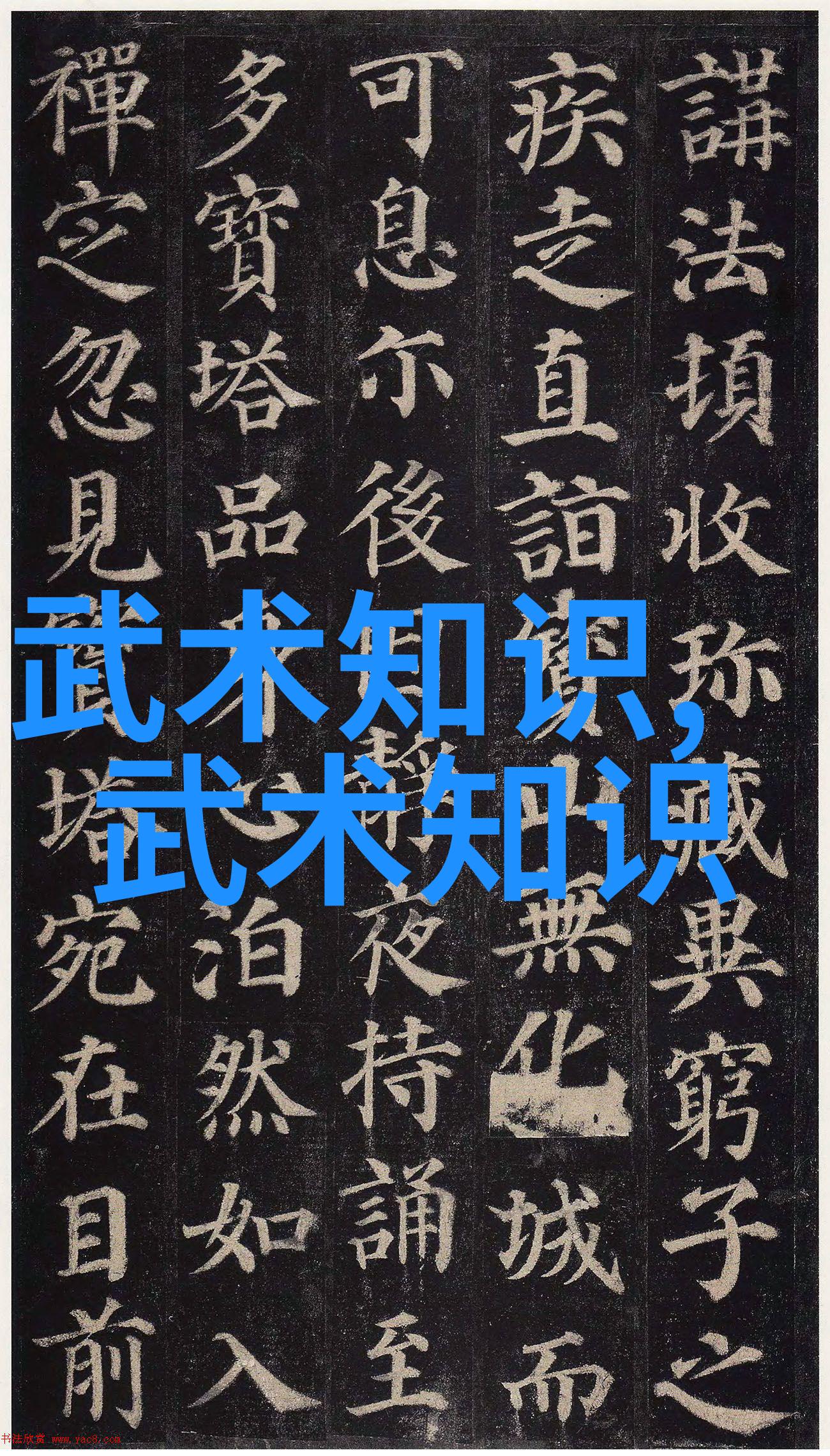 霸气仙盟的武术门派与其支派犹如一位伟大的领袖其辉煌的威严和深邃的智慧在无数年月中传承不息