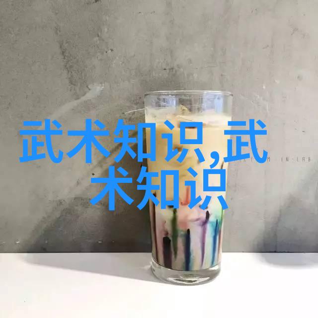 动作规范正确掌握每一个武术招式的关键点