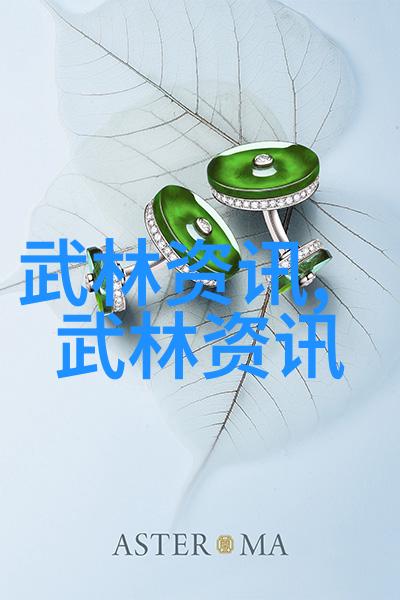 轻松学步享受生命四十式太极拳基础课程