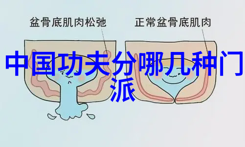 太极拳式序图解析揭秘24式动态美学