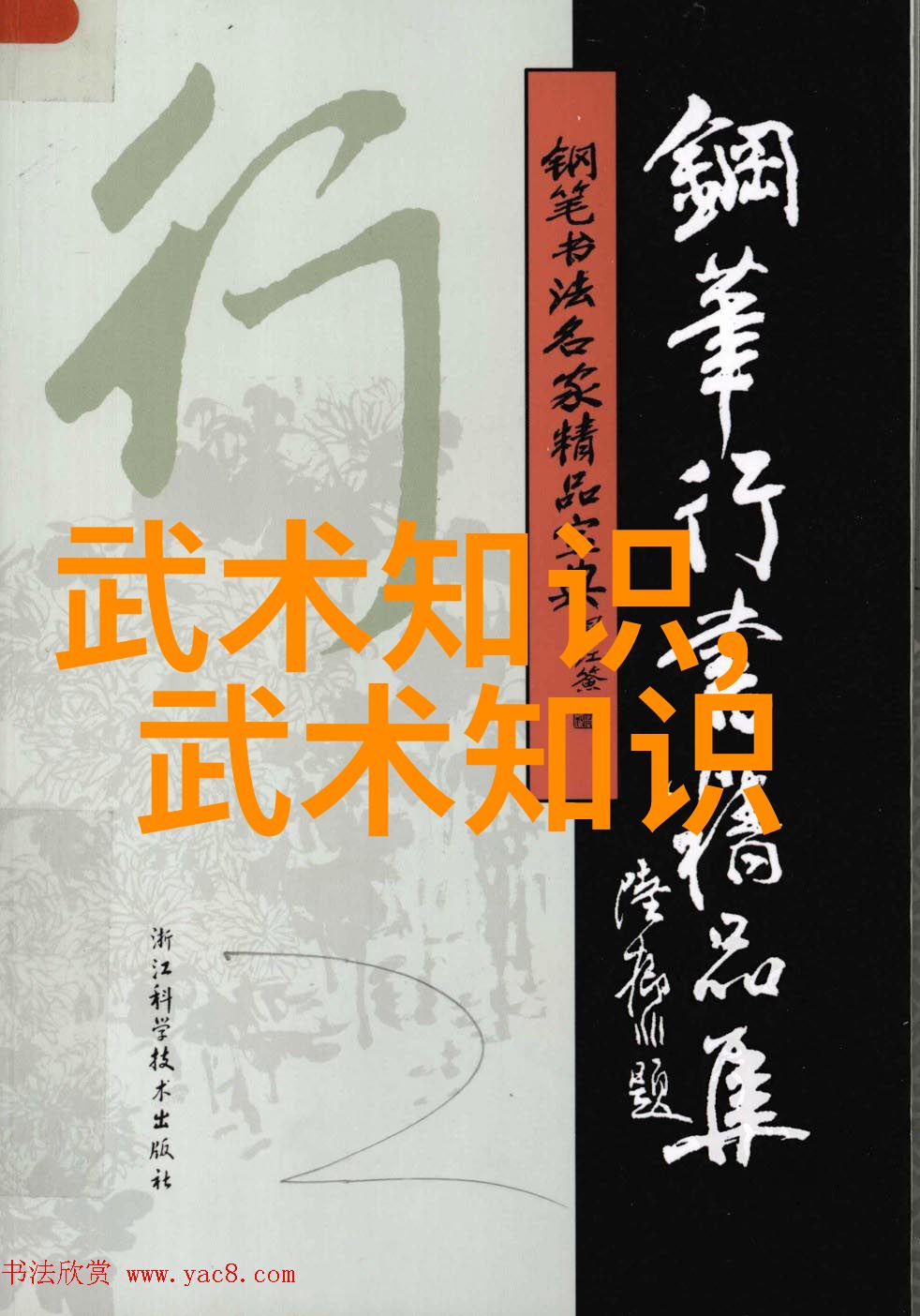 内家拳的精髓与实践