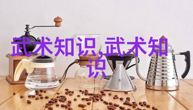 揭秘古老传统中的现代应用世界上10种最具战斗力的拳法