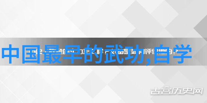 学习并实践一个湖南省级别的正宗武术门派需要具备哪些基本条件和技能呢