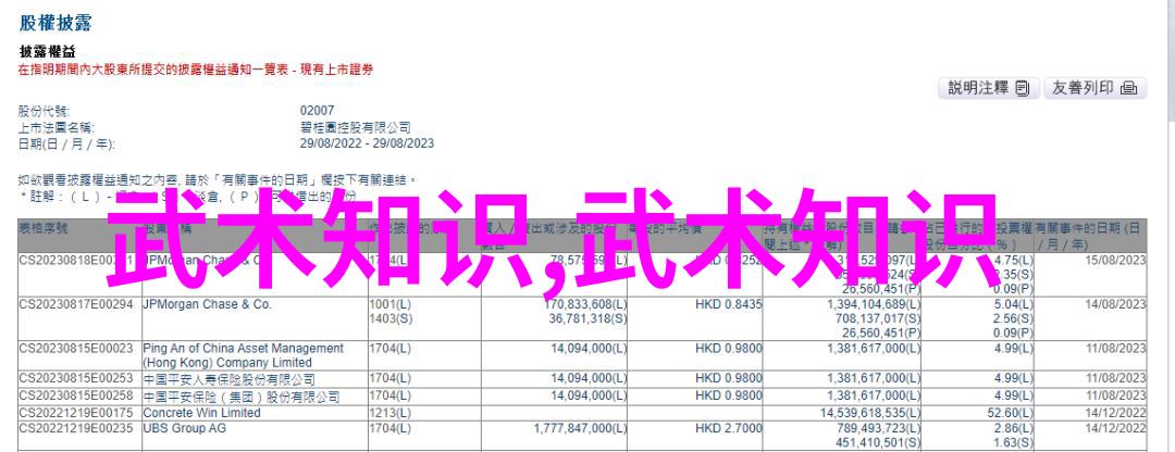 霸气十足的帮派名字 - 铁血兄弟盟霸占街头荣耀