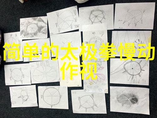 太极24式入门图解学员们让我们一起掌握这门古老而神秘的武术吧