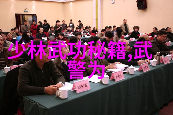 李小龙的功夫教学视频-武林秘笈解读李小龙功夫教学视频中的内在智慧