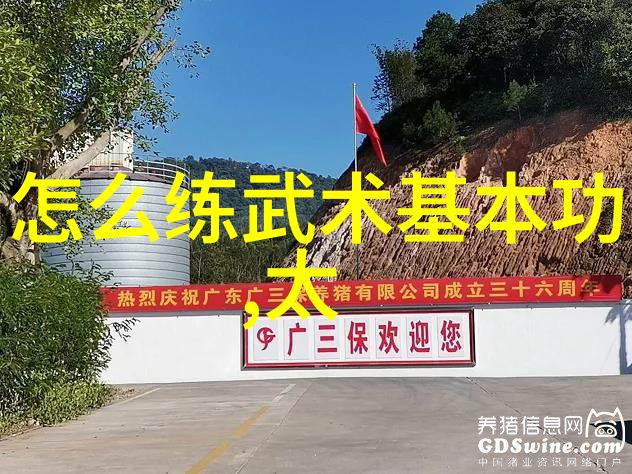 六個字的奥秘与练习方法全解析