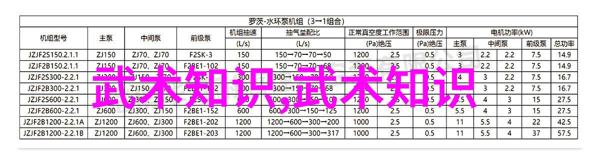 剑舞与拳影武功与武术的界限在哪里