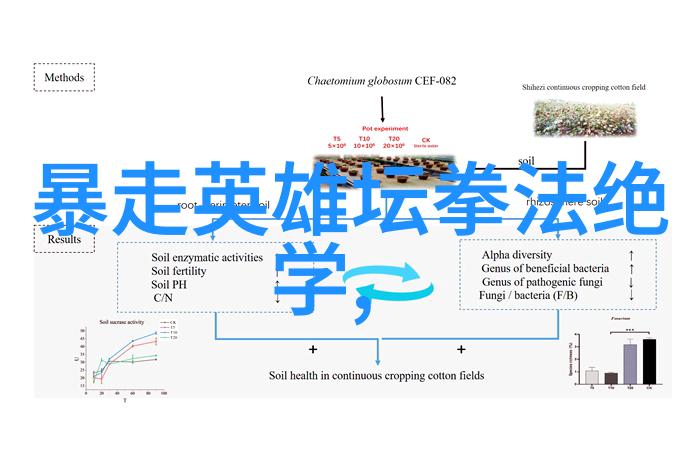 打破常规探索那些不寻常但却极具辨识度的五字帮会名字