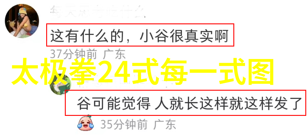 中国武林秘谱门派之光