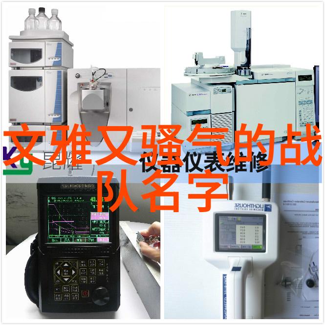 车载多肉养护技巧车内美化的植物小宠