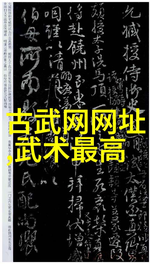 理论与实践结合学习武林高手的招式分析技巧