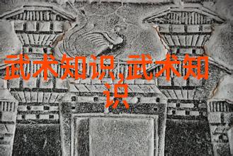 武林门派秘籍全集揭秘古代武学之源