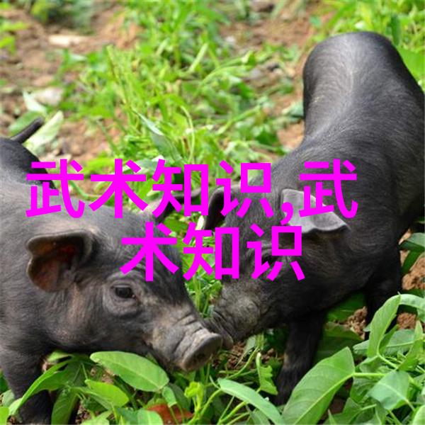 幽雅霸业双字帮会的逆袭