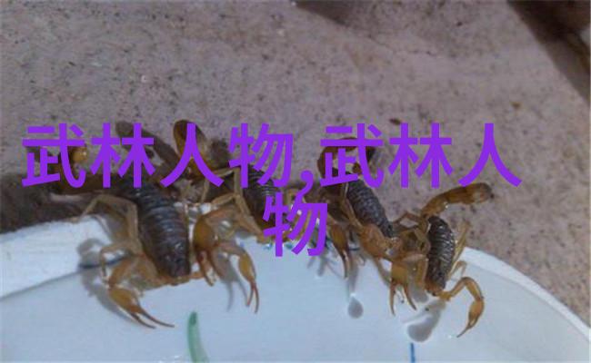 江苏武林秘籍新疆72式迷踪艺解密