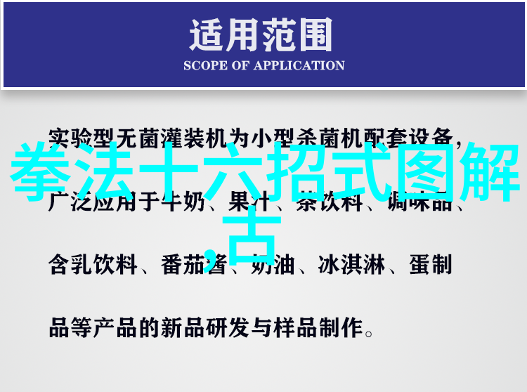 传统与现代结合的少林拳法有哪些创新之处让其变得更为高效和实用