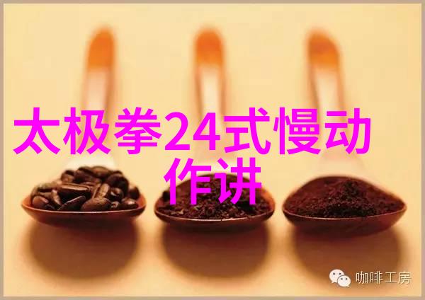 太极拳中的24式揭秘正面与背面的运用艺术