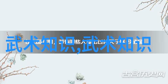 太极拳之哲学观伦理观及养生观在社会的基础武功秘籍中体现