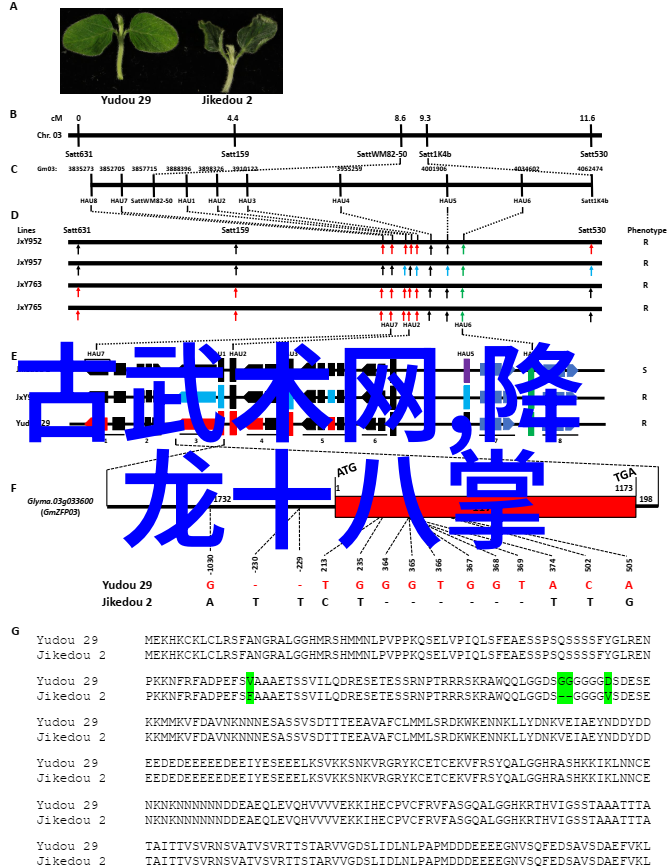 古风帮派幽梦幽魂行