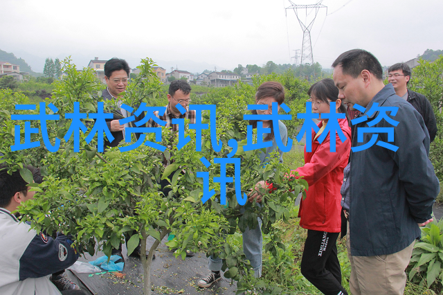 武林百家齐鸣响探秘中国武术门派的多样与辉煌