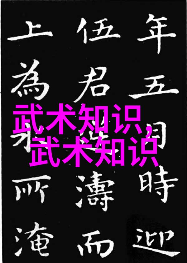 实战武术精选揭秘全球十大打斗技巧