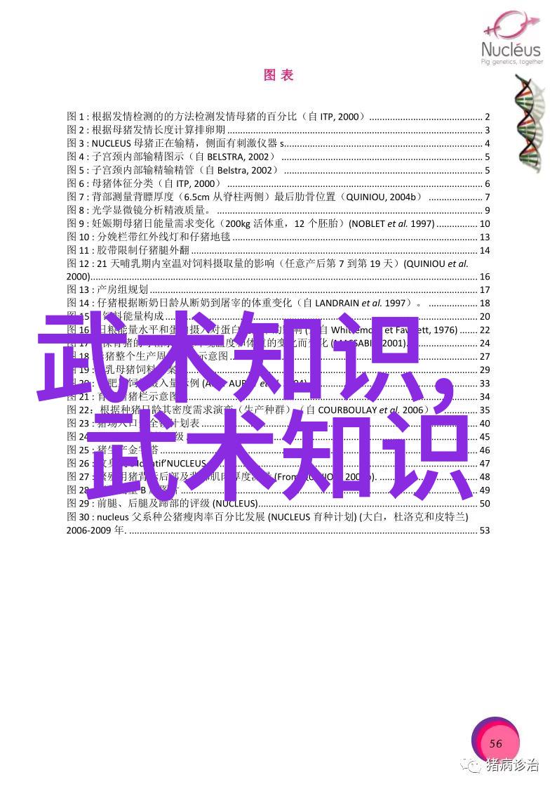 少林武功秘籍大全易医玄经一是不是武林中最为神秘而深奥的修炼之书