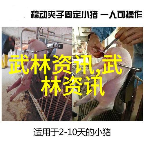 学好一门真正狠的拳法不是件容易的事