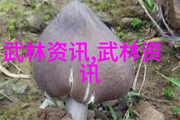 春暖性8-绽放的生命之花春暖时节里的温馨瞬间