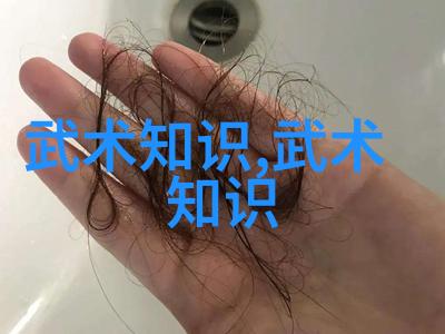 武学独钥影梭中的自我点化