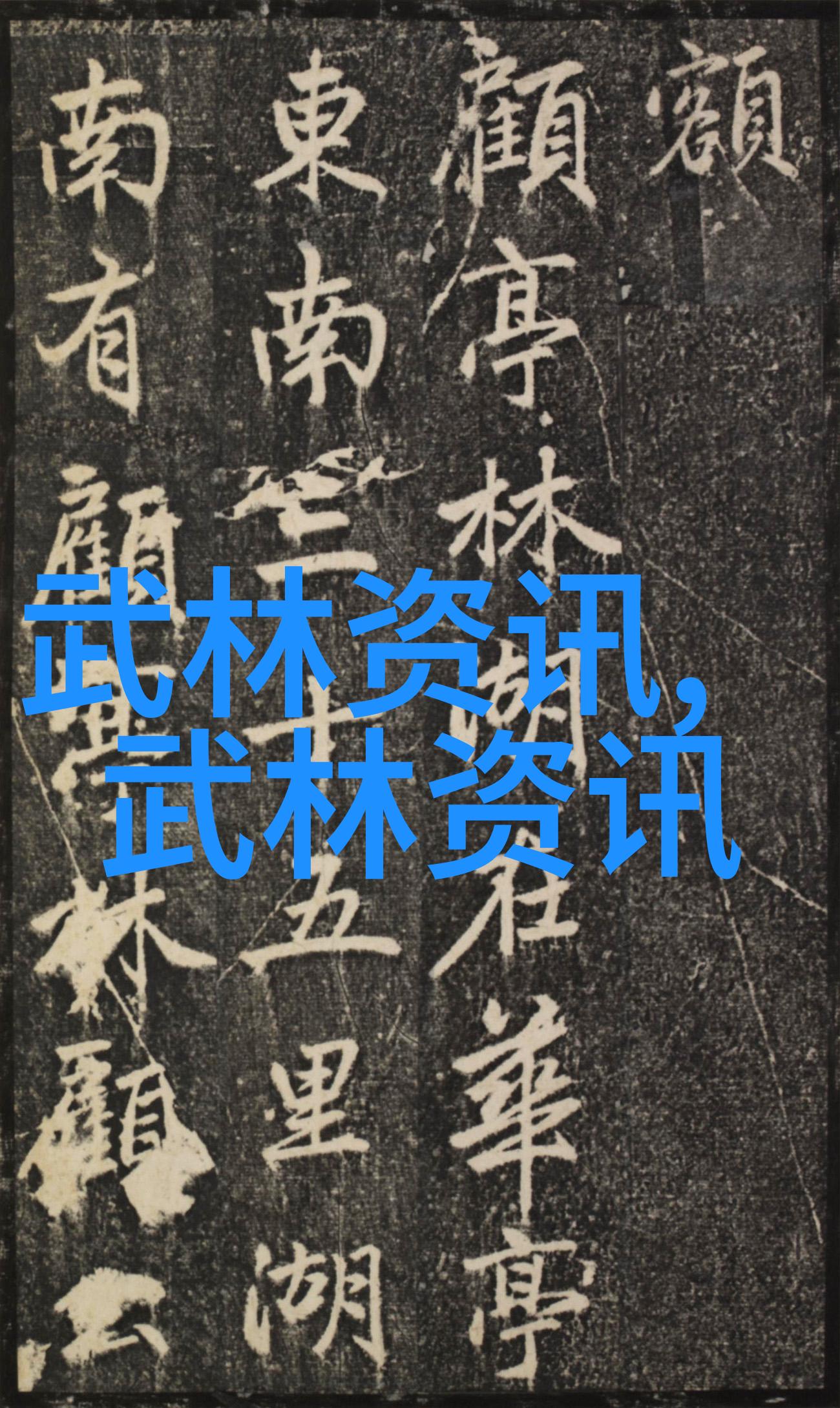 孙建国探讨武氏太极拳套路与六字诀的内涵武术资料网独家专访