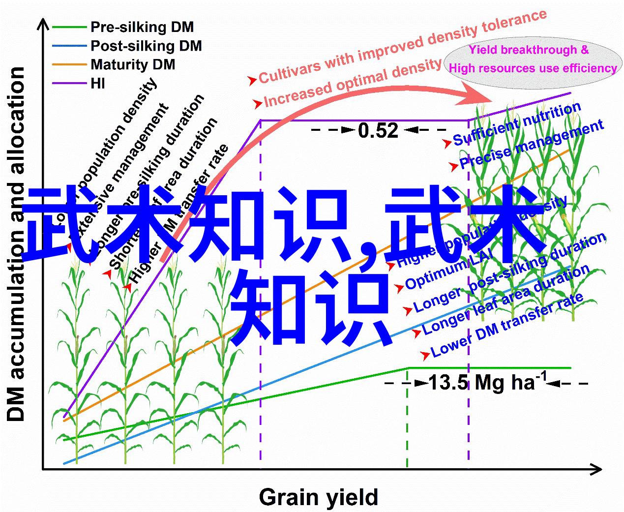 帮派文化三个字名字背后的故事有哪些