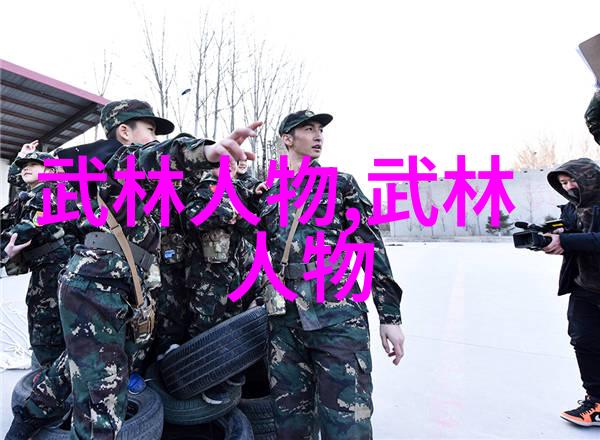 中国武术的丰富多彩从古代至现代的流派演变