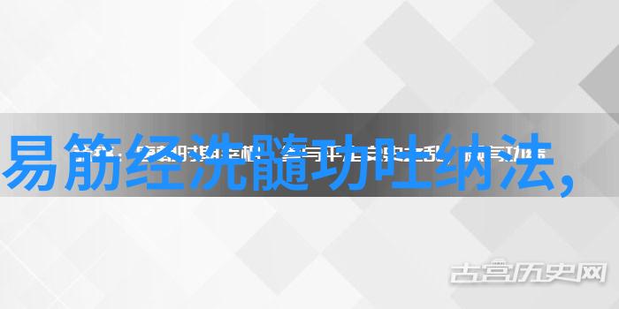 自学跆拳道小白向导解锁100招秘籍快速提升实力