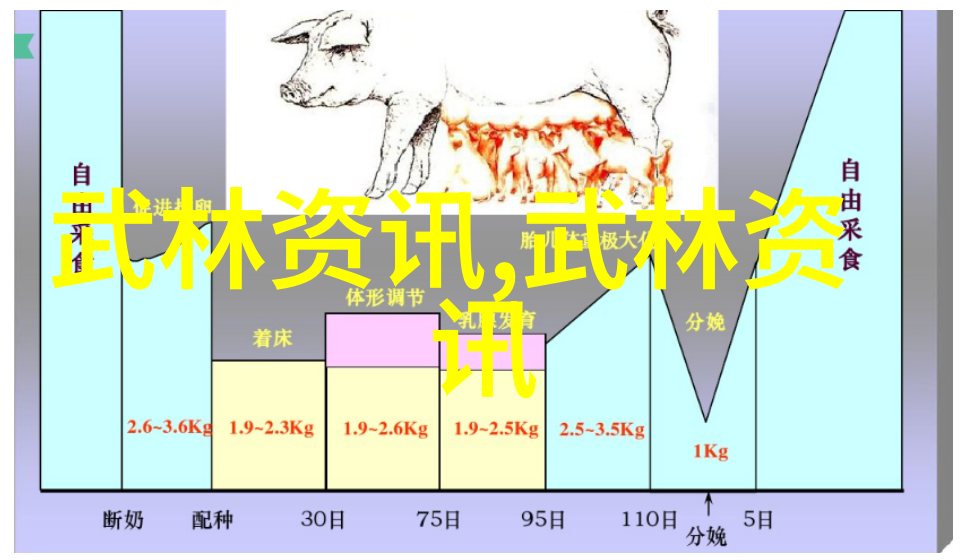 古代最强武功探秘揭开千年内功的神秘面纱