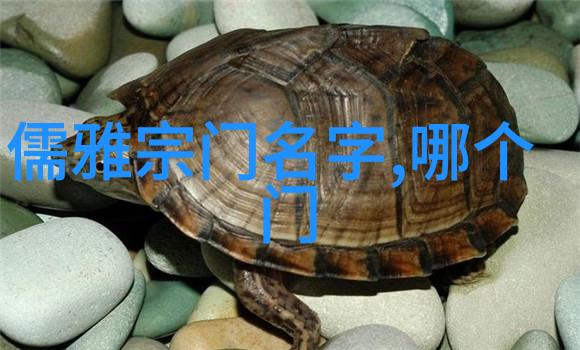 和风帮派字门太极行者