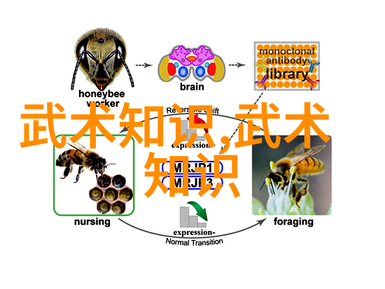 小说武林门派名字大全-绝世神功揭秘江湖中的千门万派