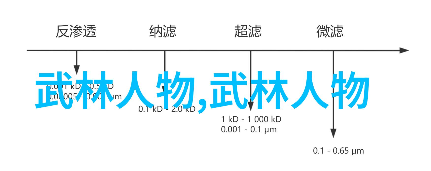 仙影幽梦帮派女儿的咏春拳技法全解